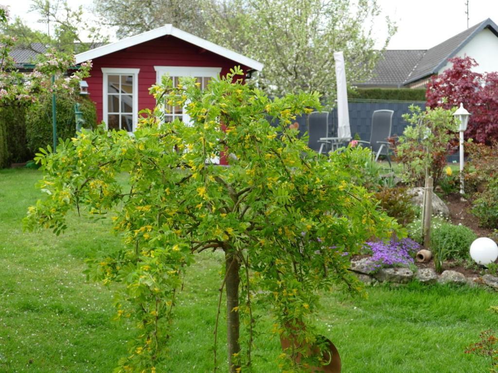 Ferienwohnung Kirsch Sankt Wendel Luaran gambar